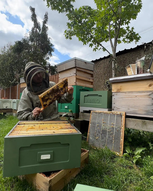 Personalised Beekeeping Experience (per person) The Bee Biz