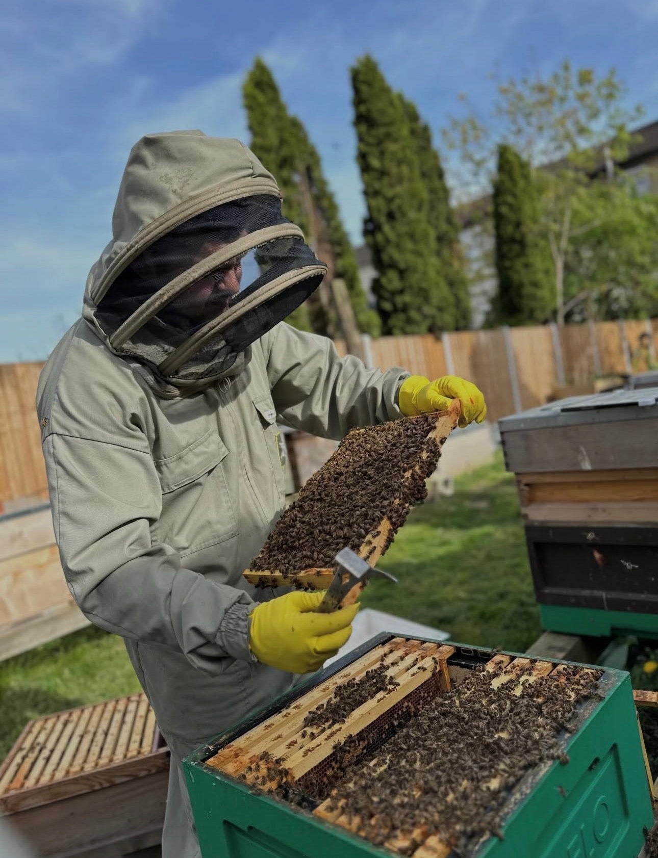 1:1 Mentorship Programme